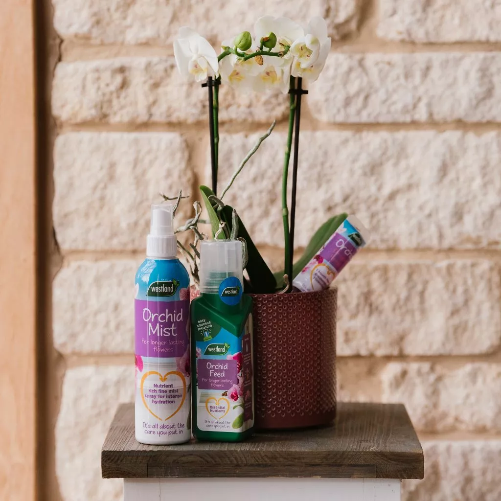 Westland Orchid Mist 250ml - Image 4