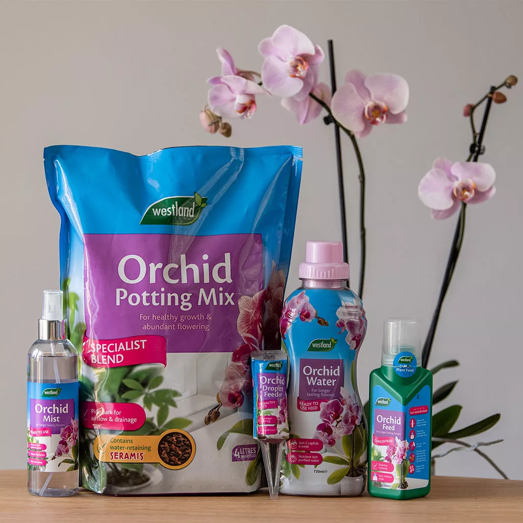 Westland Orchid Mist 250ml - Image 6