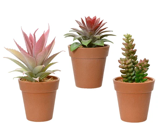 Artificial Succulent In Pot (16x8cm)