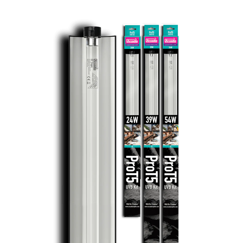 Arcadia Pro T5 UVB Kit Forest 6% UVB 39 Watt - Image 2