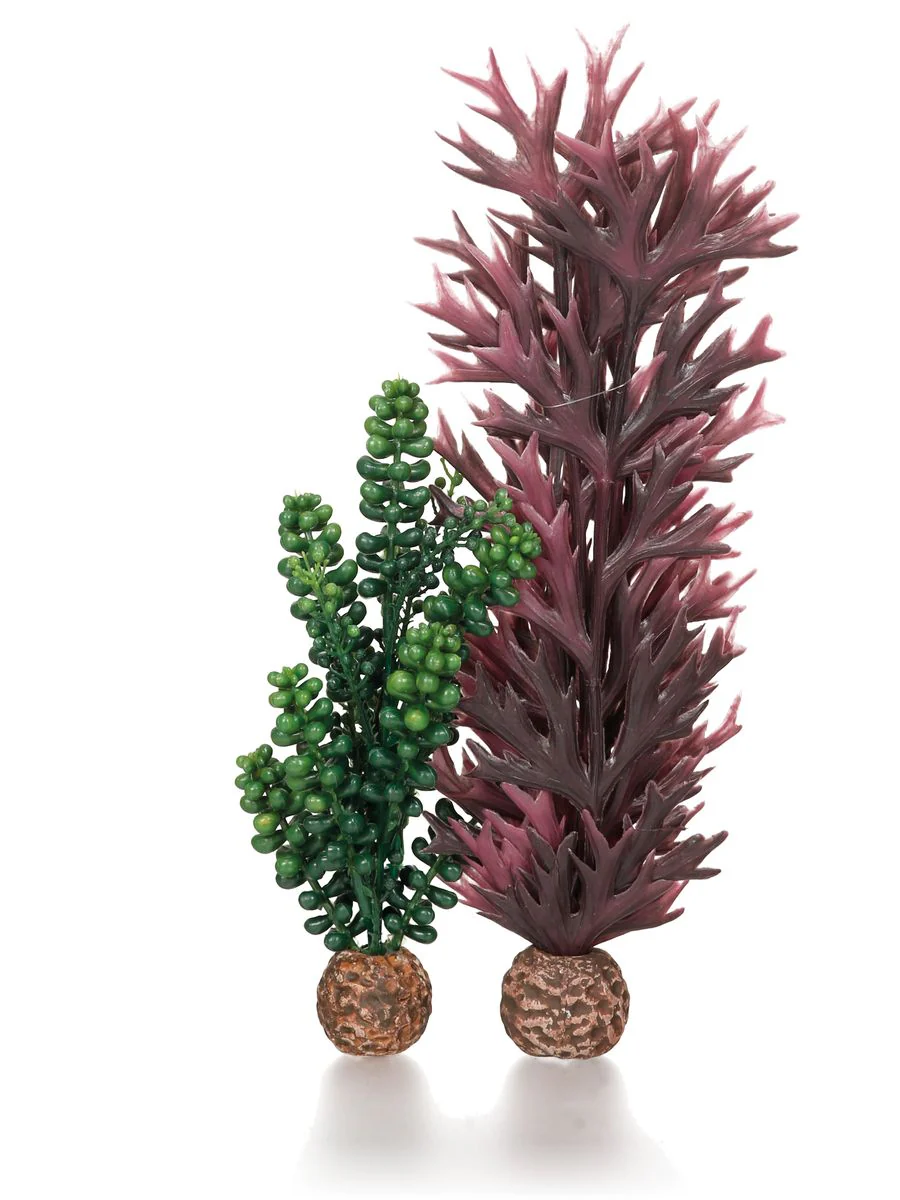 BiOrb Seapearls & Kelp Olive