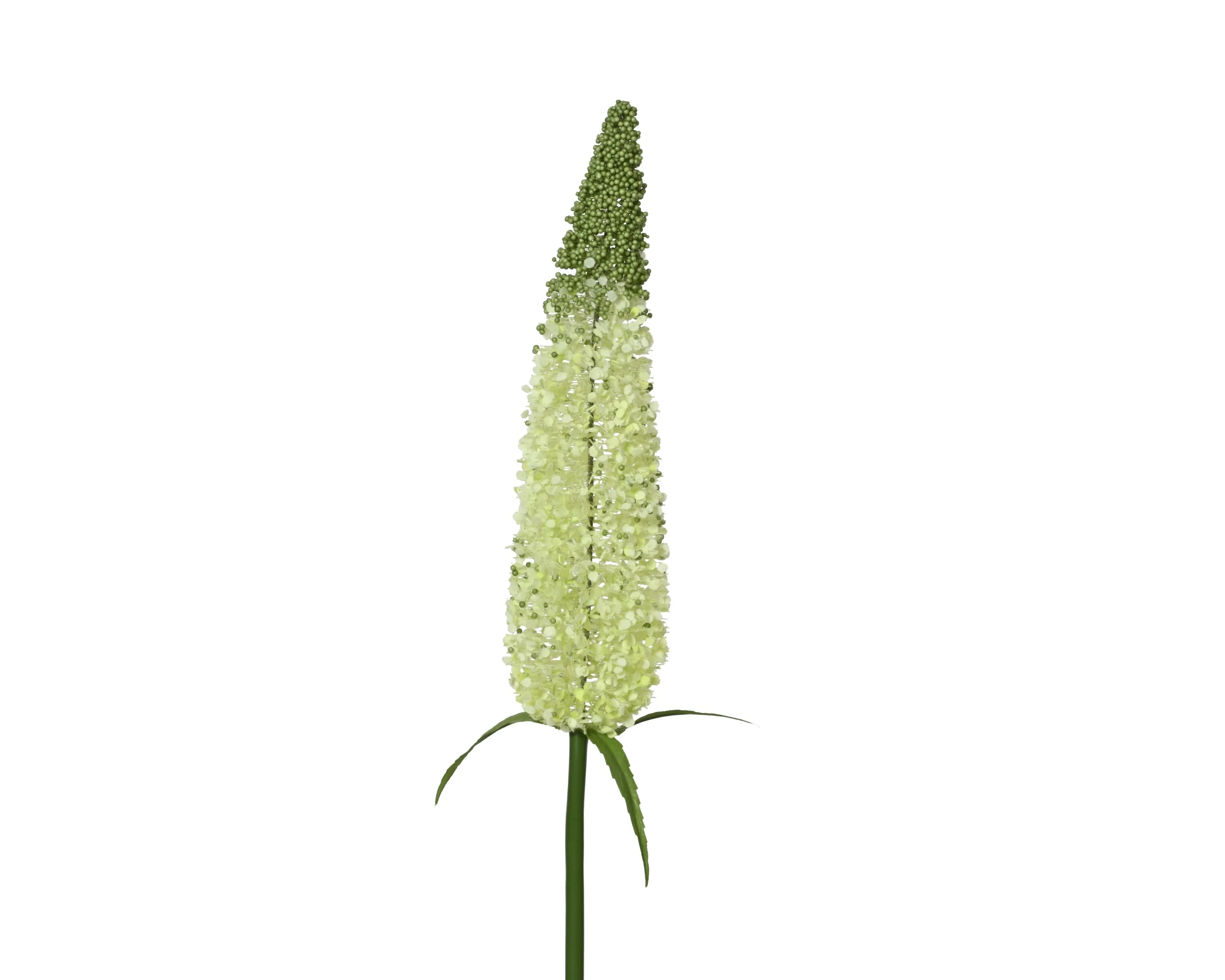 Bush stem green