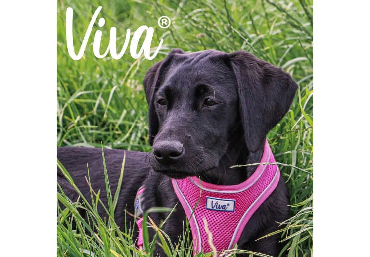 Ancol Viva Comfort Harness Medium 44-57cm Pink - Image 3