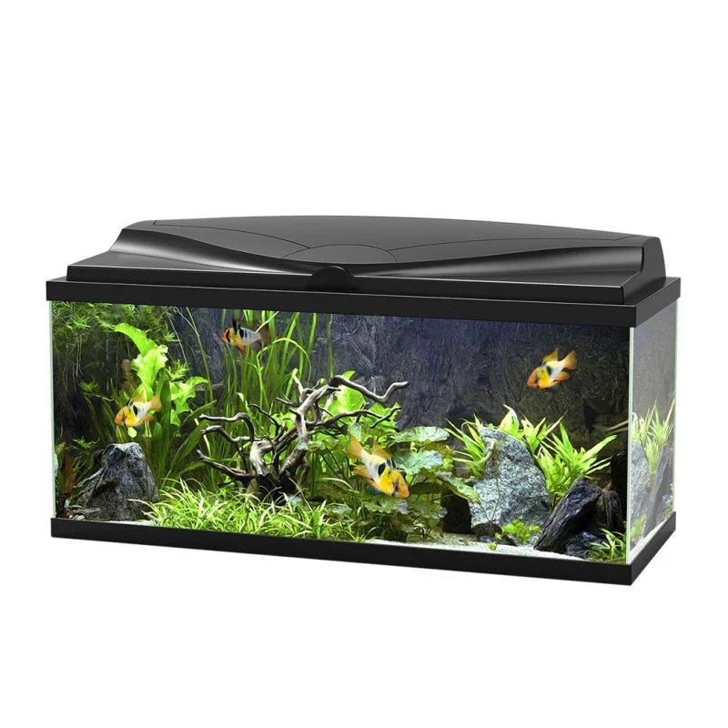 Ciano Aquarium Aqua 80 In Black With LED Lights & Black Lid - 71 Litre