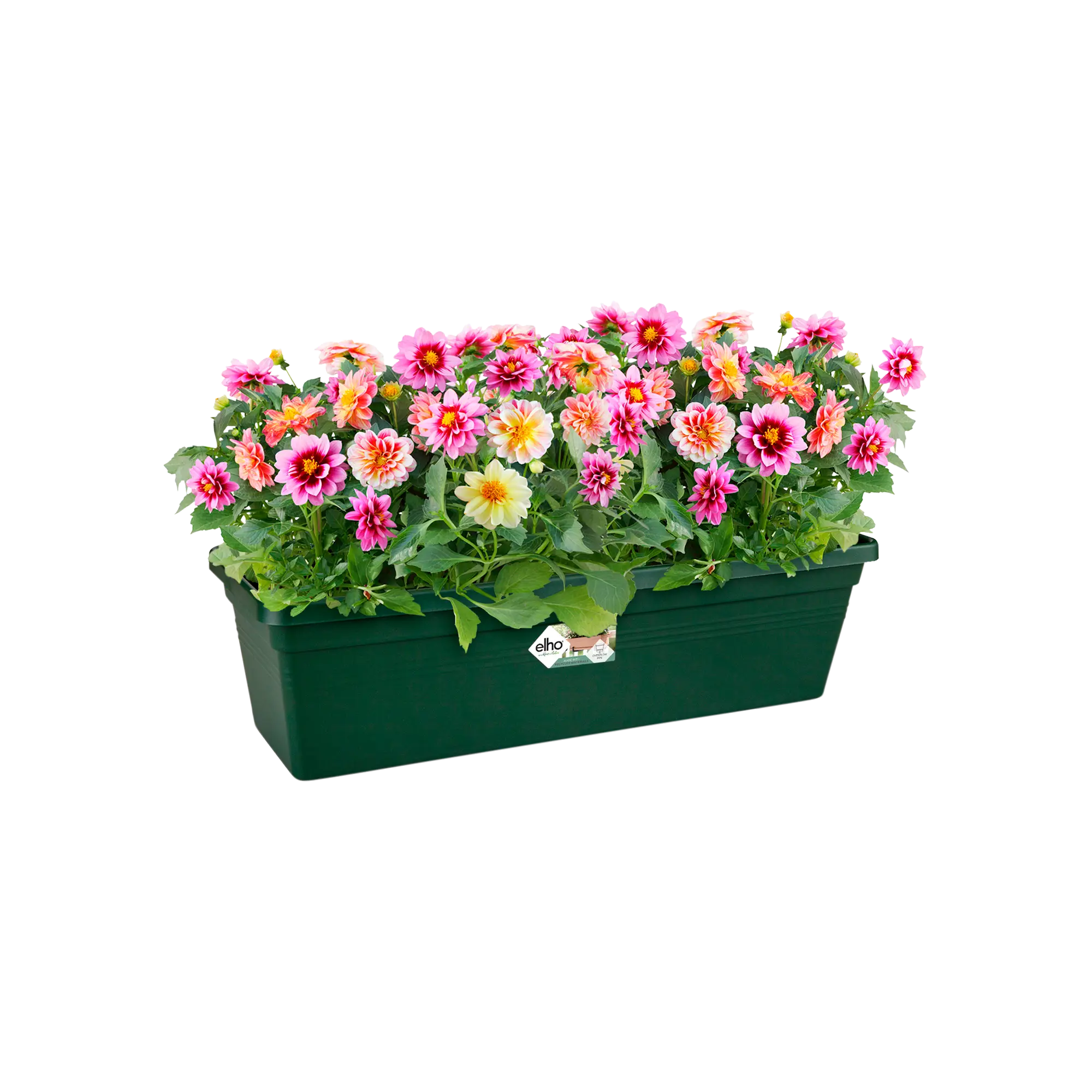 Elho Green Basics Trough 40cm Green - Image 2