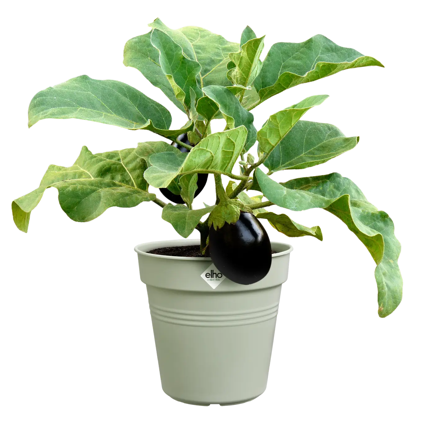 Green Basics Growpot 30cm Stone Green - Image 5