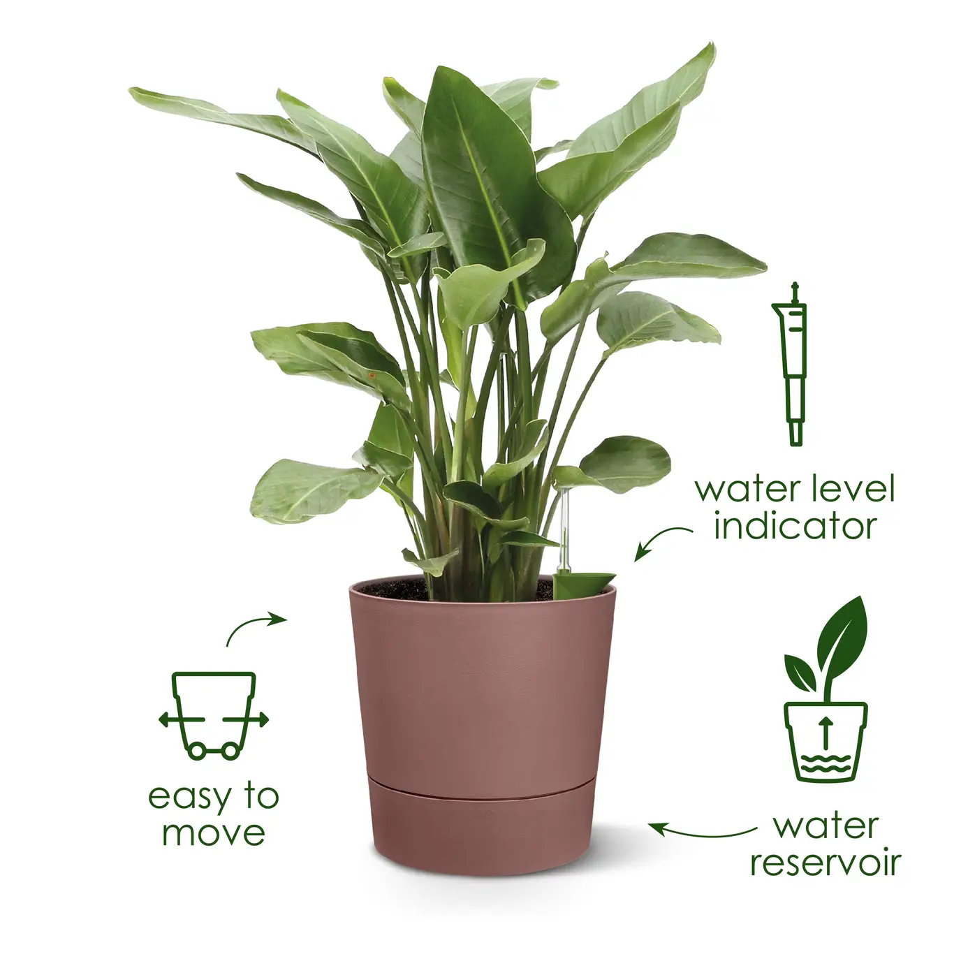 Greensense Aqua Care Round 30cm Light Concrete - Image 14