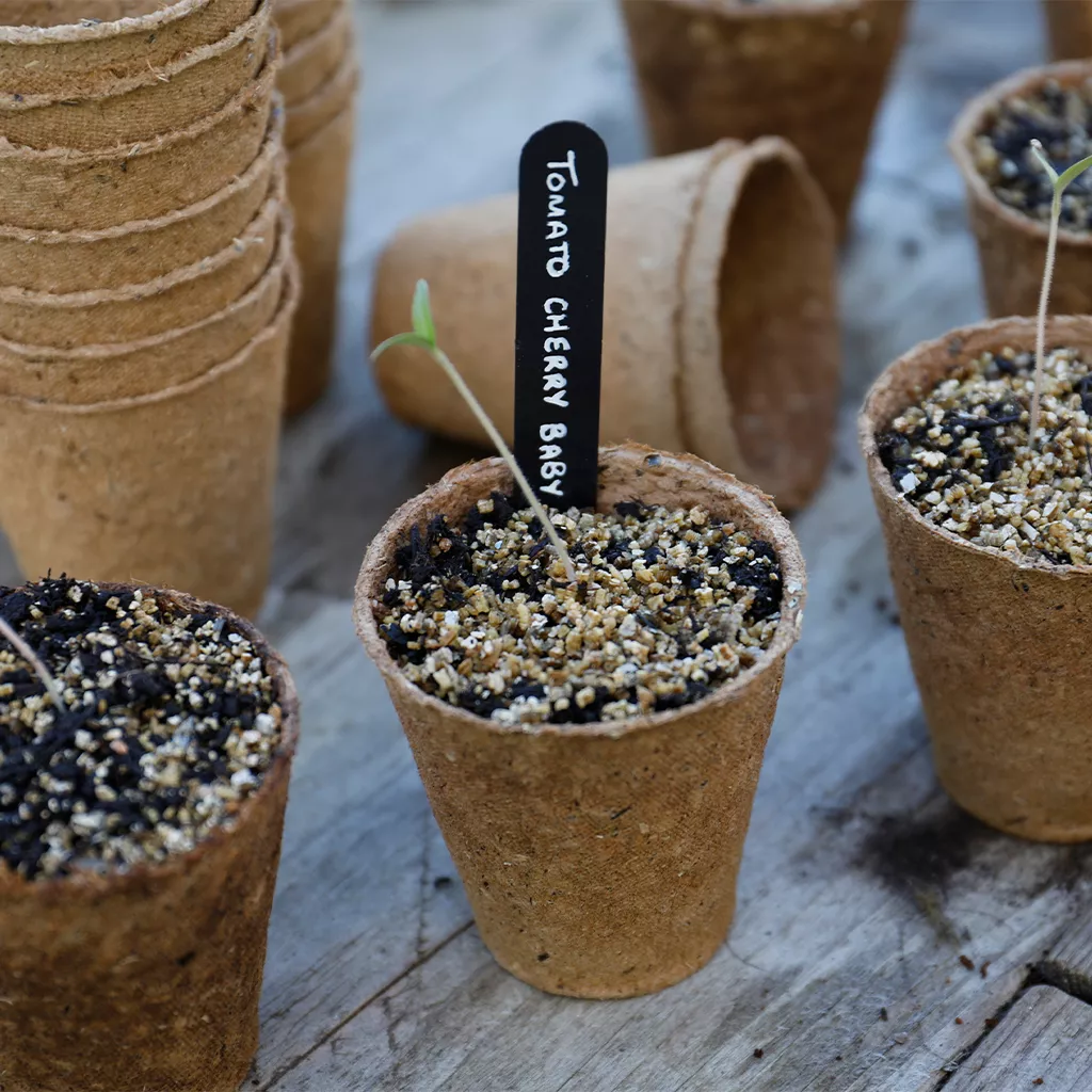 Gro-Sure Fibre Pots Round 8cm 12pk - Image 3