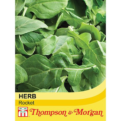 Herb Rocket