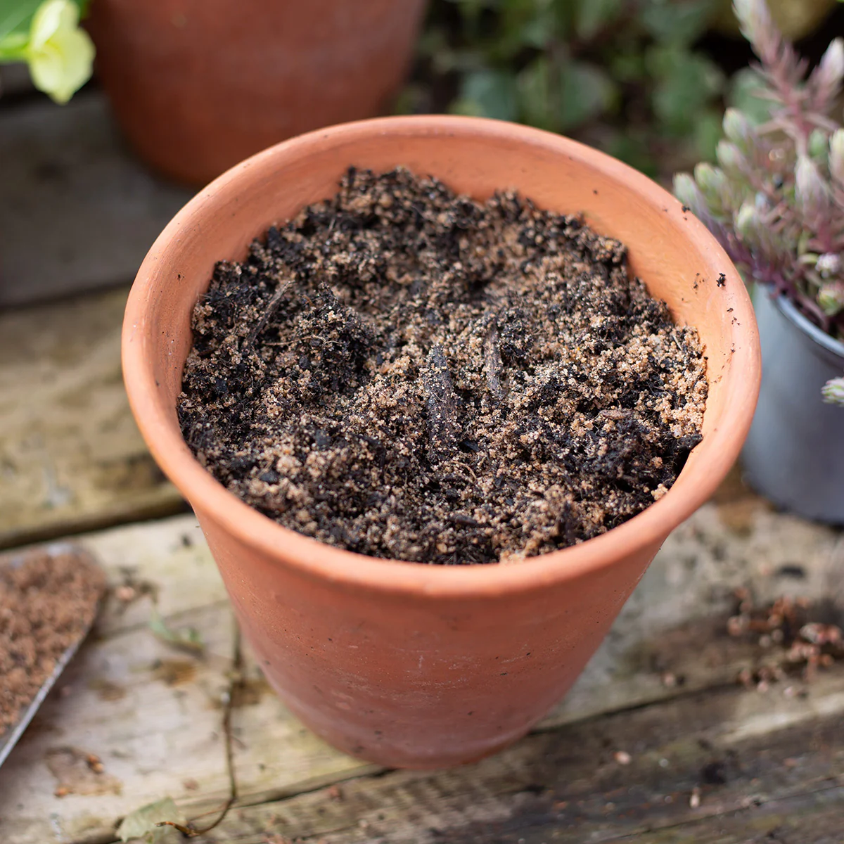 Kelkay Horticultural Grit Sand - Handy Pack 4kg - Image 2