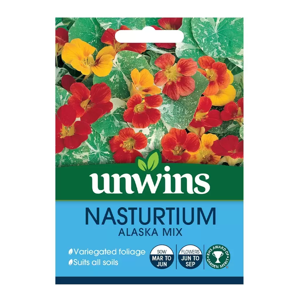 Nasturtium Alaska Mix