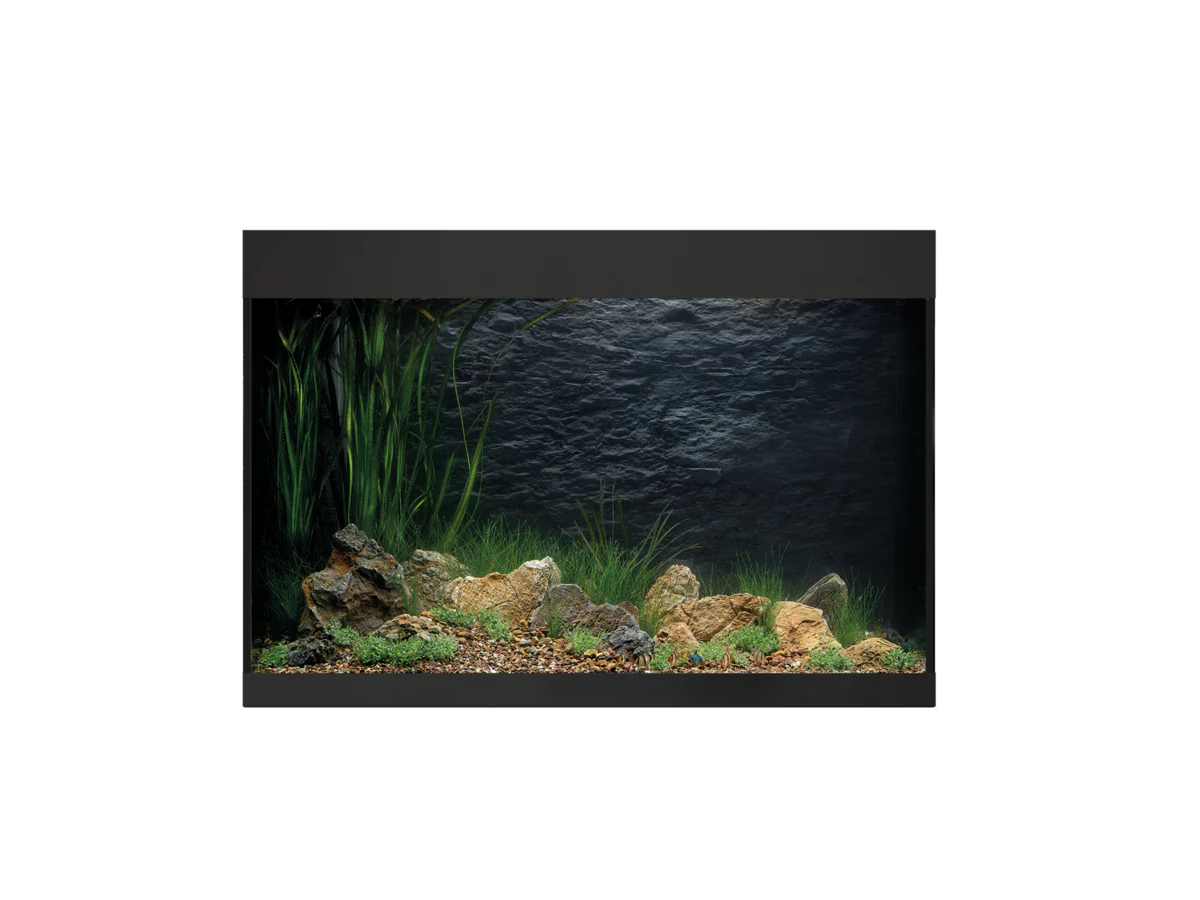 Oase Styleline 175 Aquarium Black - Image 2