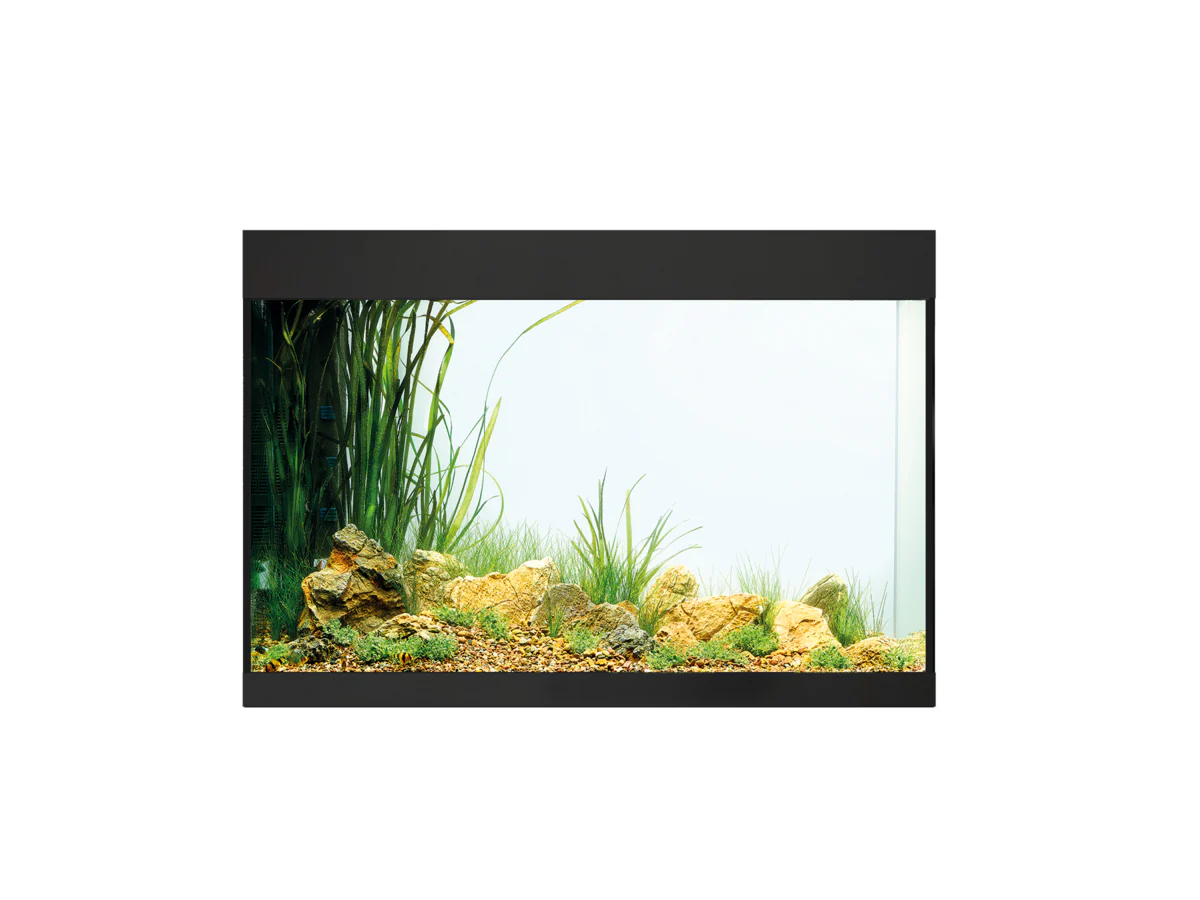 Oase Styleline 175 Aquarium Black - Image 3