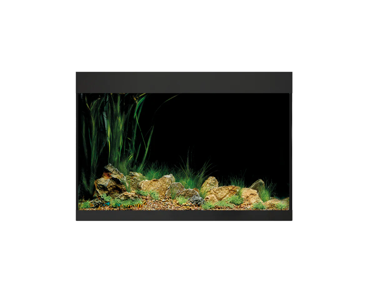 Oase Styleline 175 Aquarium Black - Image 4