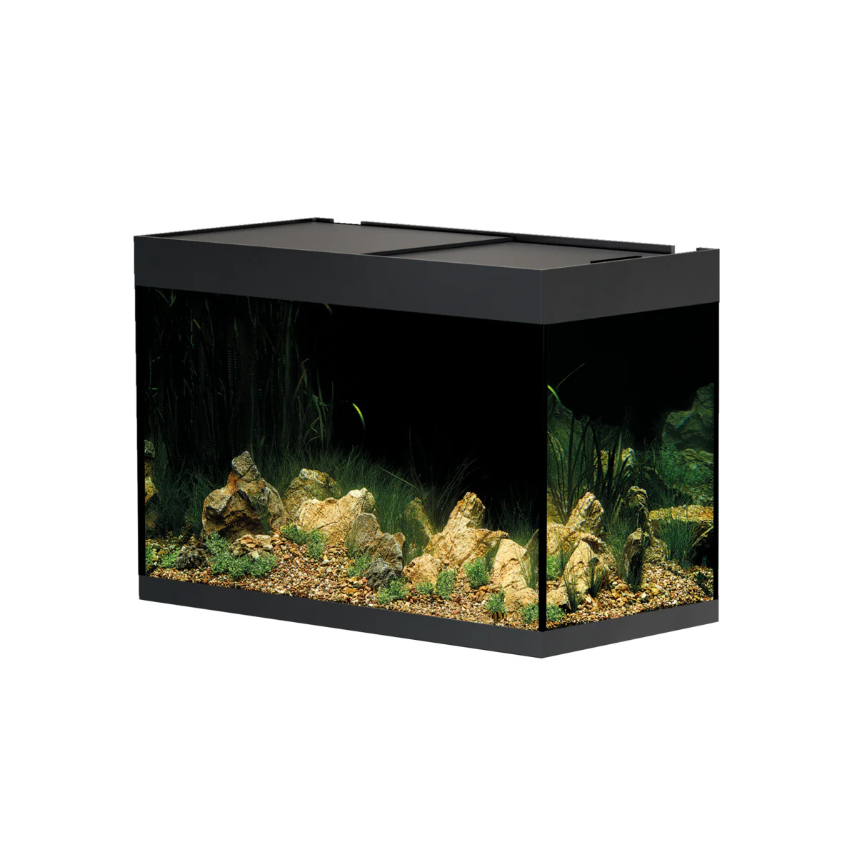 Oase Styleline 175 Aquarium Black - Image 5