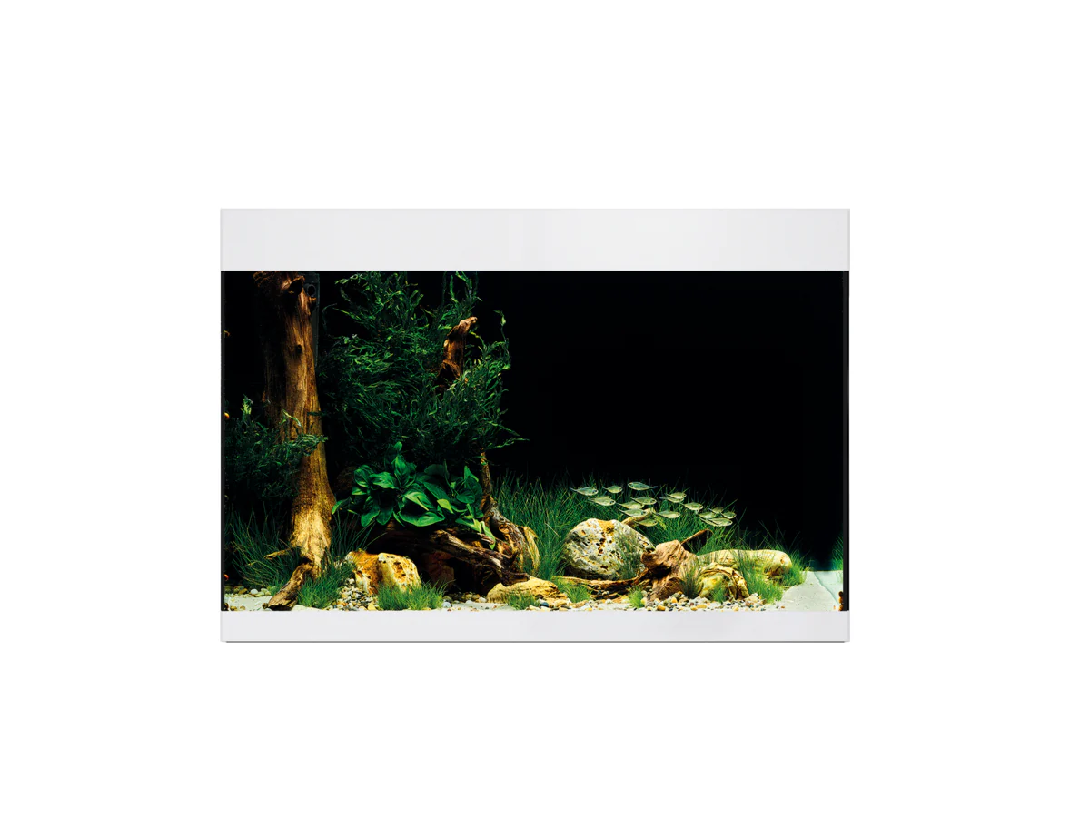 Oase Styleline 175 Aquarium White - Image 2