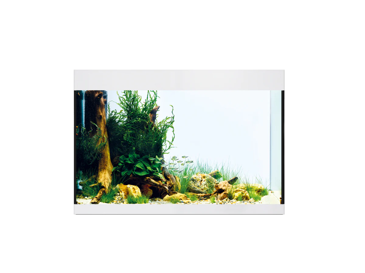 Oase Styleline 175 Aquarium White - Image 3