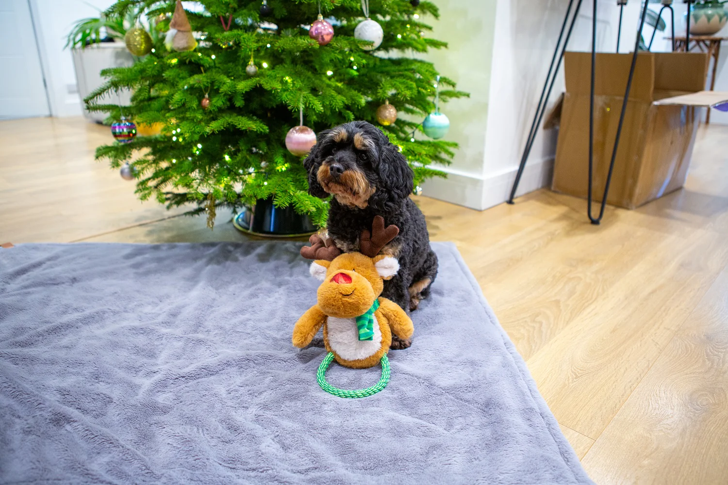 Ronny Reindeer Dog Toy - Image 2