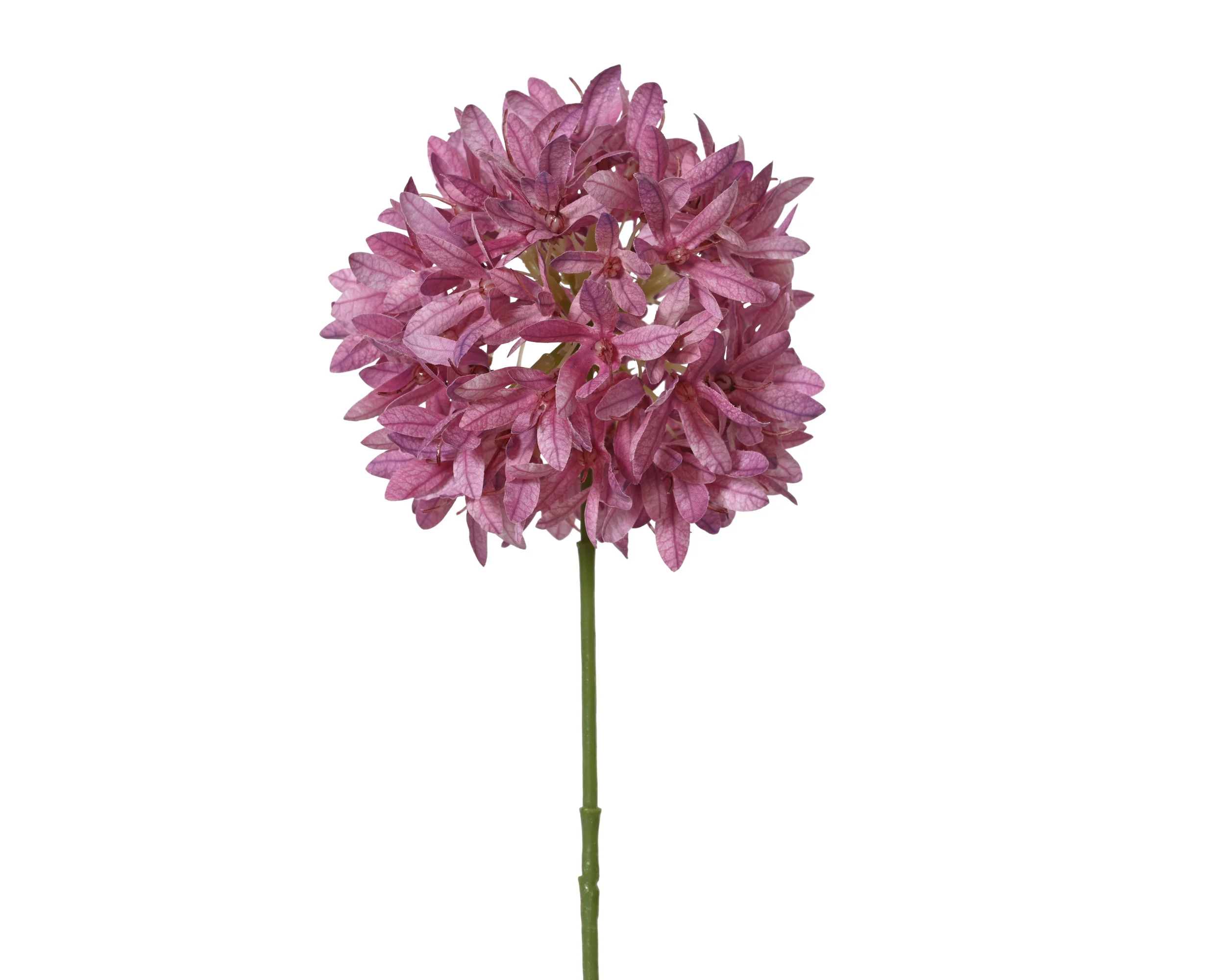 Spray petrea ball