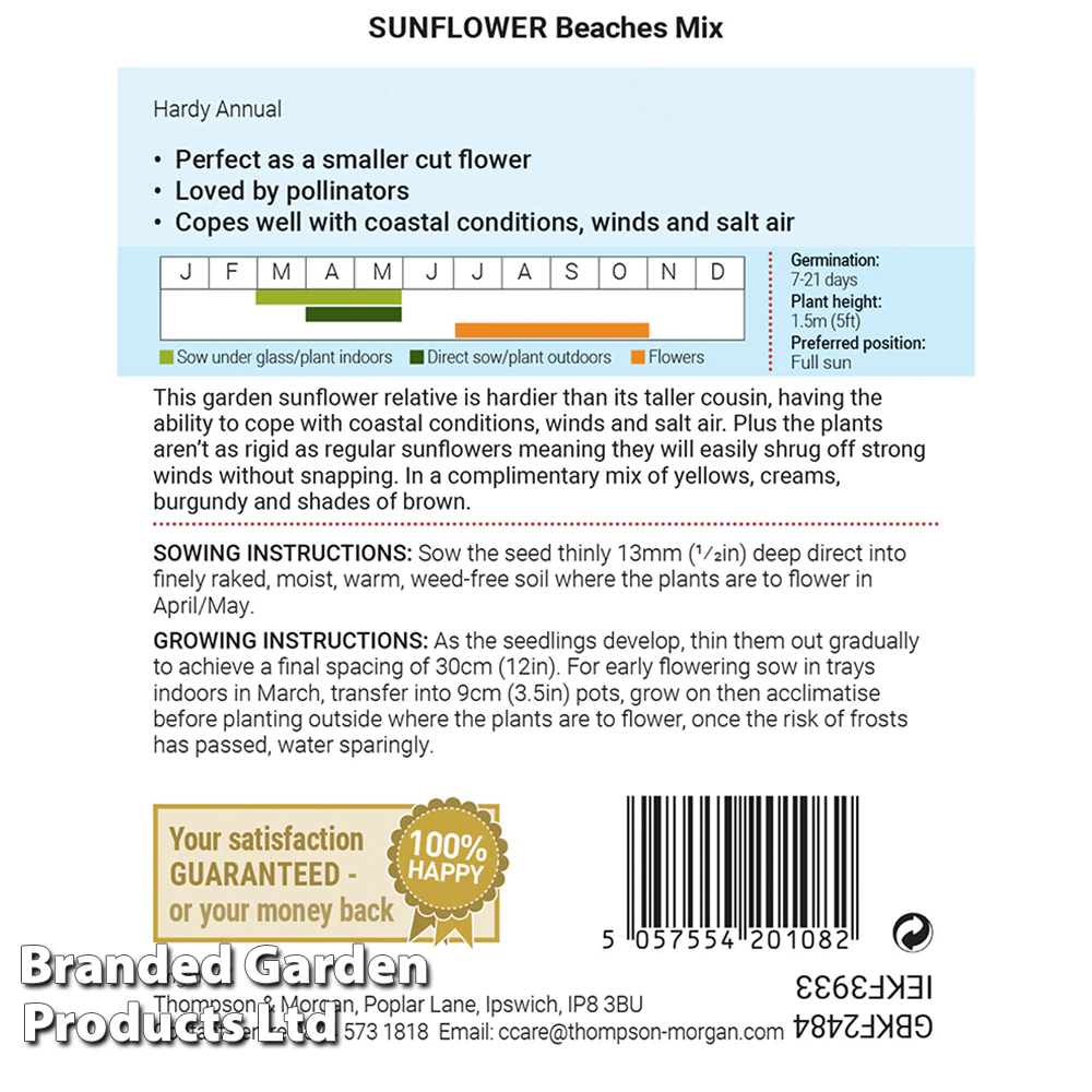 Sunflower 'Beaches Mix' - Image 2
