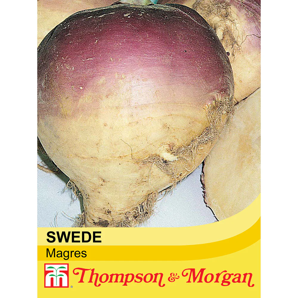 Swede Magres