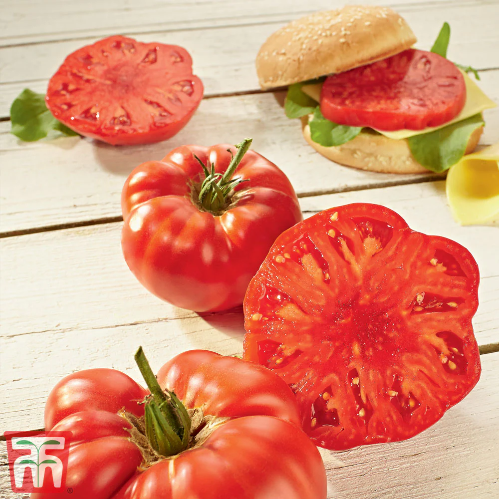 Tomato 'Buffalosteak' F1 Hybrid