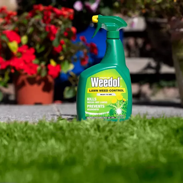 Weedol Lawn Weedkiller (Ready To Use Spray) 800ml - Image 2