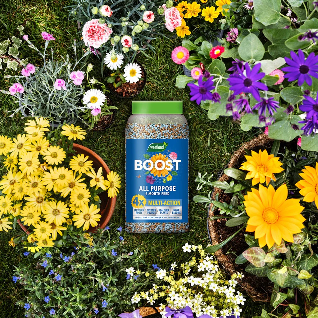 Westland Boost Slow Release Plant Food 750g - Image 2