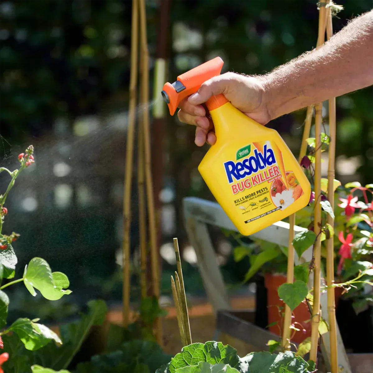 Westland Resolva Bug Killer Liquid (250ml) - Image 2