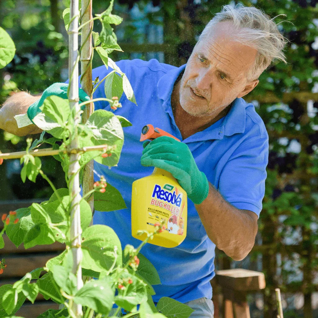 Westland Resolva Bug Killer Liquid (250ml) - Image 3
