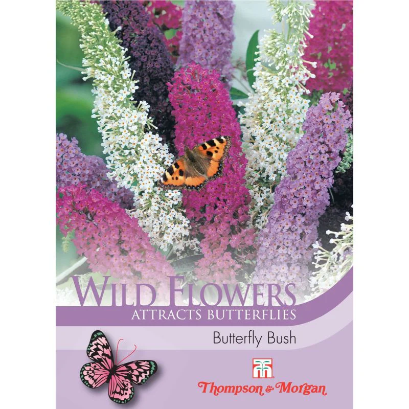 Wild Flower Butterfly Bush