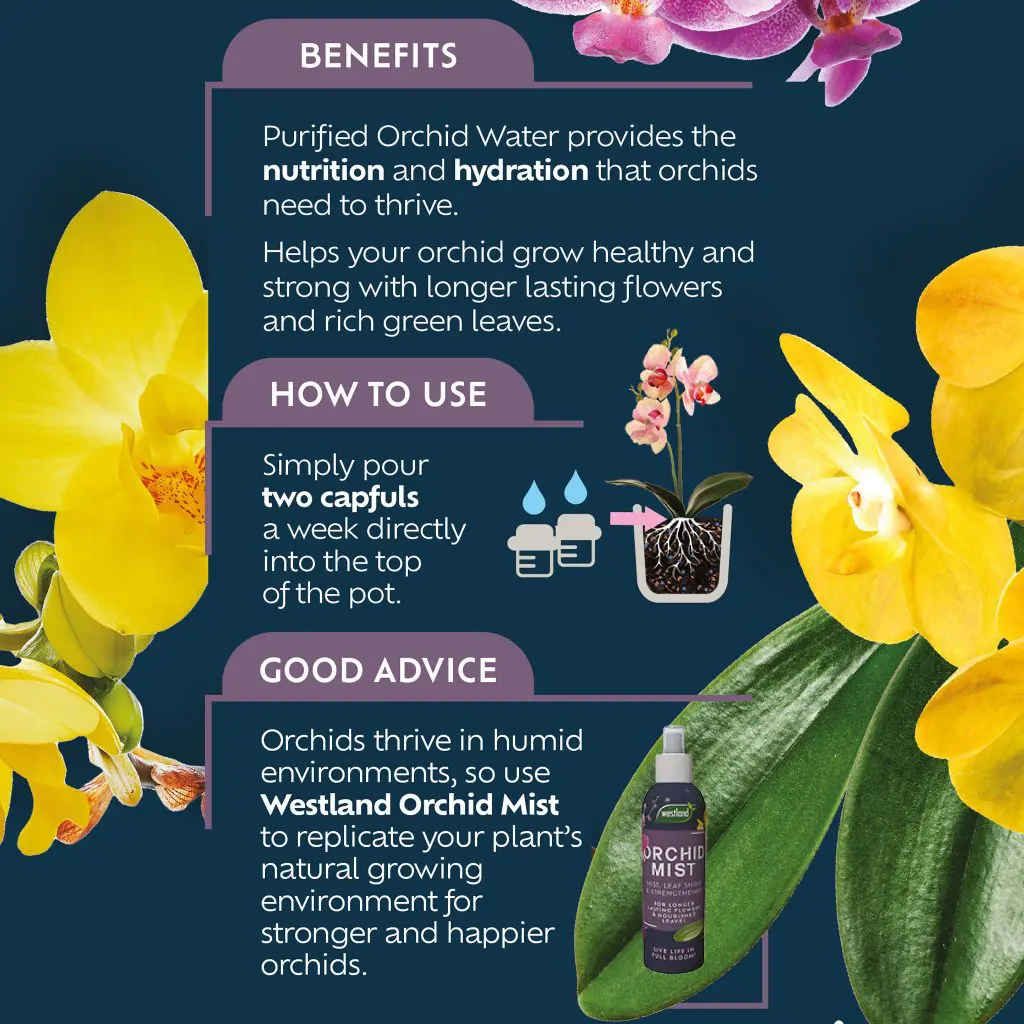 Westland Orchid Water 720ml - Image 2