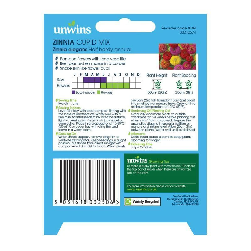 Zinnia Cupid Mix - Image 2